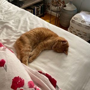 Meet your Posher, Leah